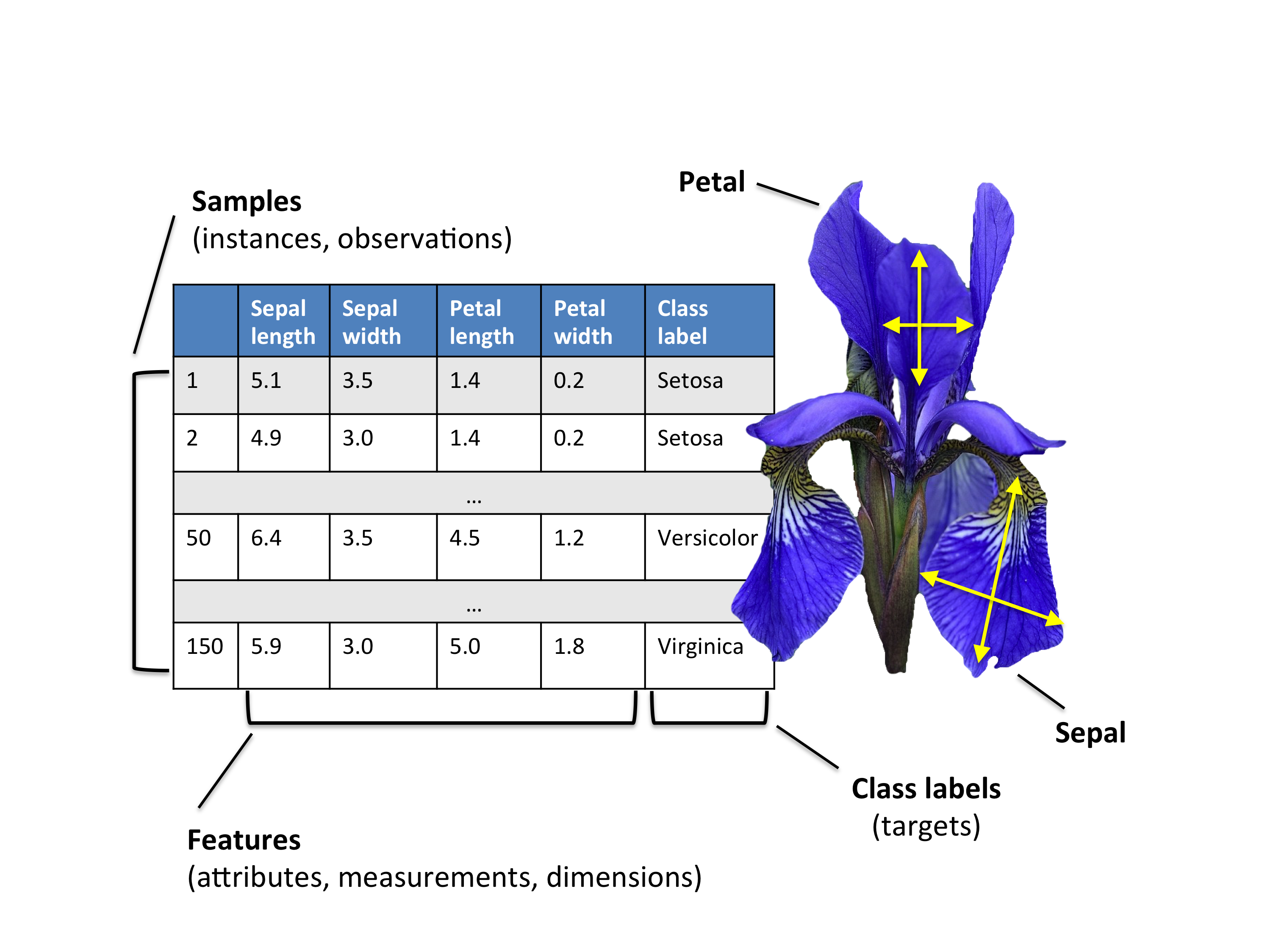 Iris dataset